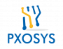 Pxosys