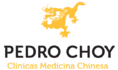 Grupo Pedro Choy