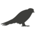 blockbird Ventures