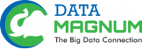 Data Magnum