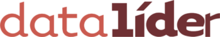 Datalider - Soluções Informáticas