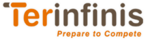 Terinfinis