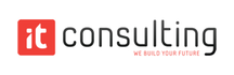 iT Consulting
