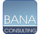 BANA Consulting