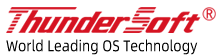 ThunderSoft