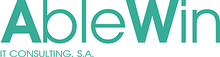 AbleWin - IT Consulting