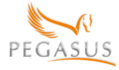 Pegasus Consultancy Services