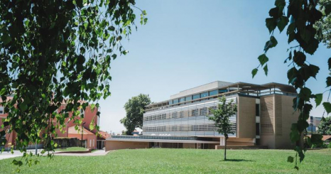 Católica Porto Business School lança novo curso intensivo em Analytics e IA para Negócios