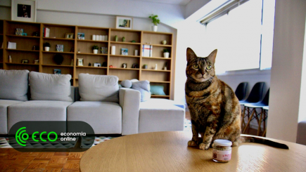 Maven e Purrmi criam ‘Pet hub’ no Porto e querem acolher novas pet techs